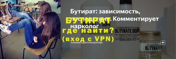 соль ск Ельня
