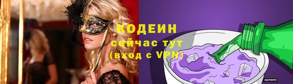 соль ск Ельня