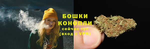 бошки Елабуга