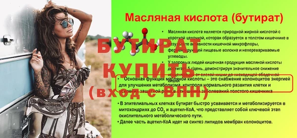 соль ск Ельня
