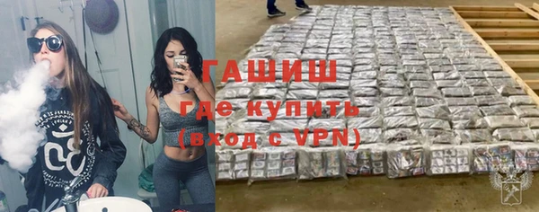 соль ск Ельня